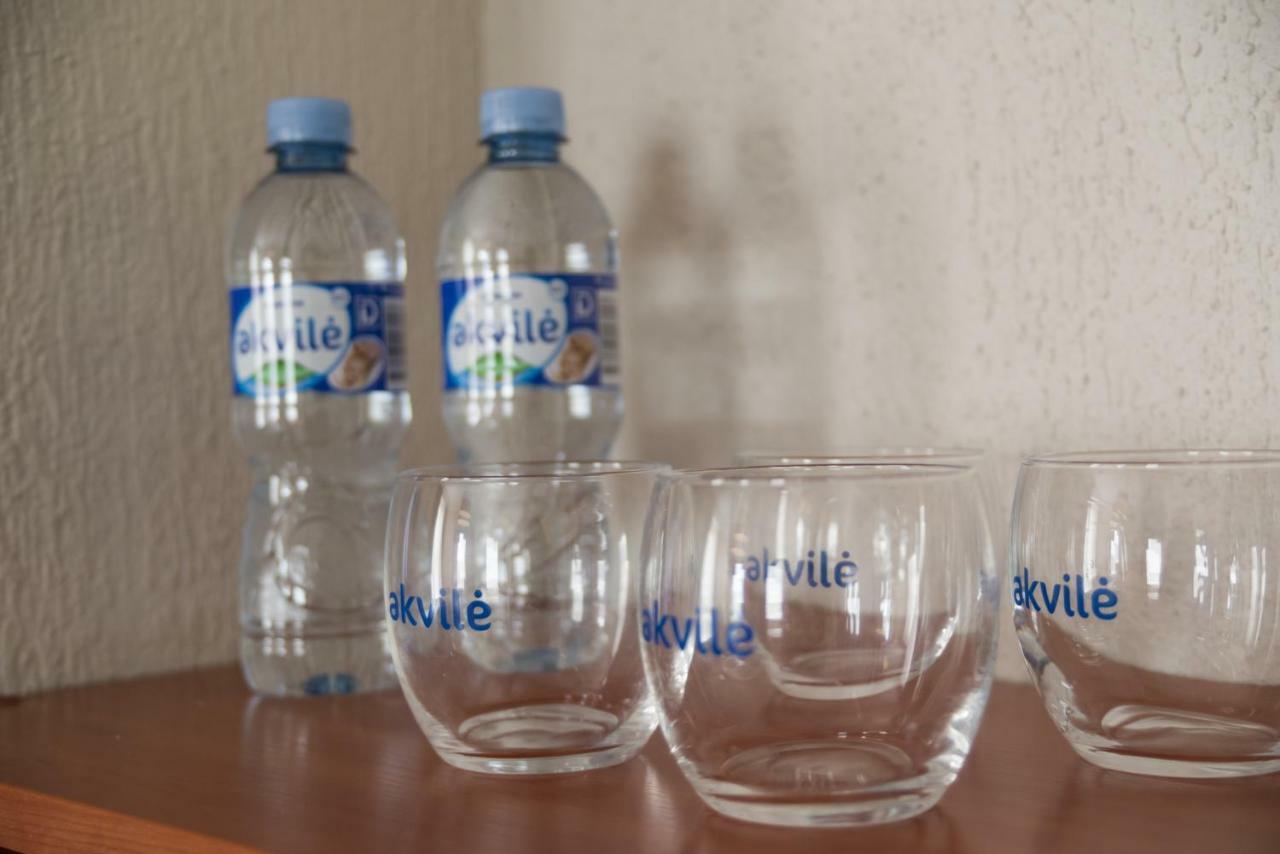 דרוסקינינקאי Inza Guest House מראה חיצוני תמונה